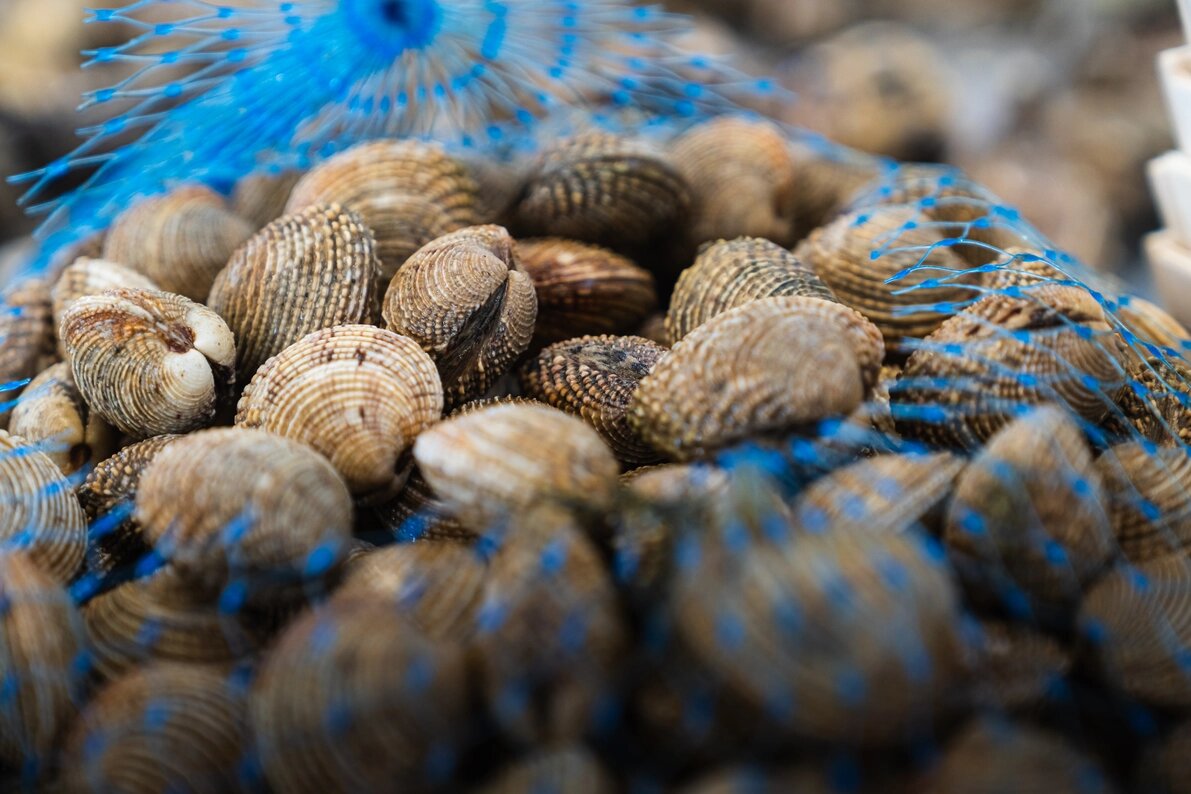 Tartufo di mare